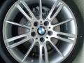 2010 Black Sapphire Metallic BMW 3 Series 335i xDrive Sedan  photo #8