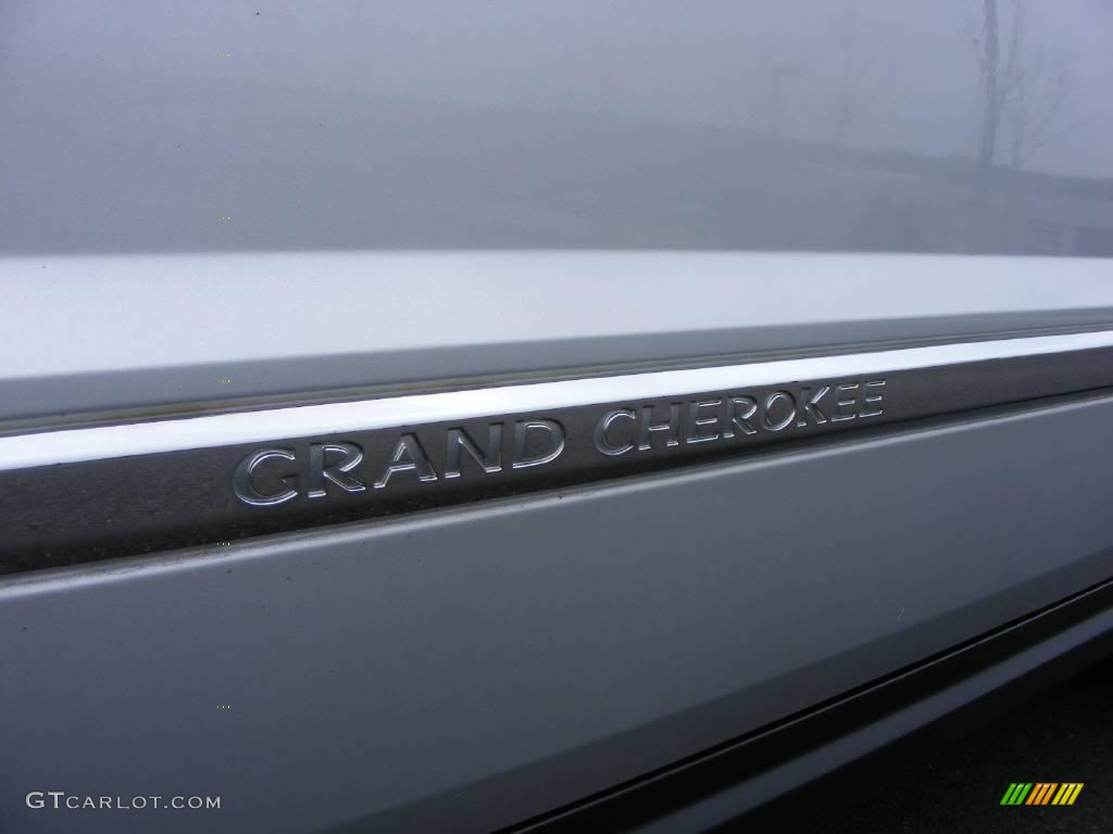 2006 Grand Cherokee Limited 4x4 - Bright Silver Metallic / Medium Slate Gray photo #39