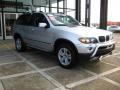 Titanium Silver Metallic - X5 3.0i Photo No. 1