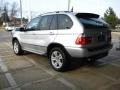 Titanium Silver Metallic - X5 3.0i Photo No. 6