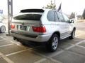 Titanium Silver Metallic - X5 3.0i Photo No. 8