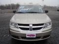 2009 Light Sandstone Metallic Dodge Journey SE  photo #8