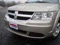 2009 Light Sandstone Metallic Dodge Journey SE  photo #9