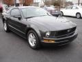 2008 Alloy Metallic Ford Mustang V6 Deluxe Coupe  photo #2