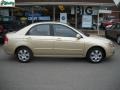 2009 Sand Beige Metallic Kia Spectra EX Sedan  photo #2