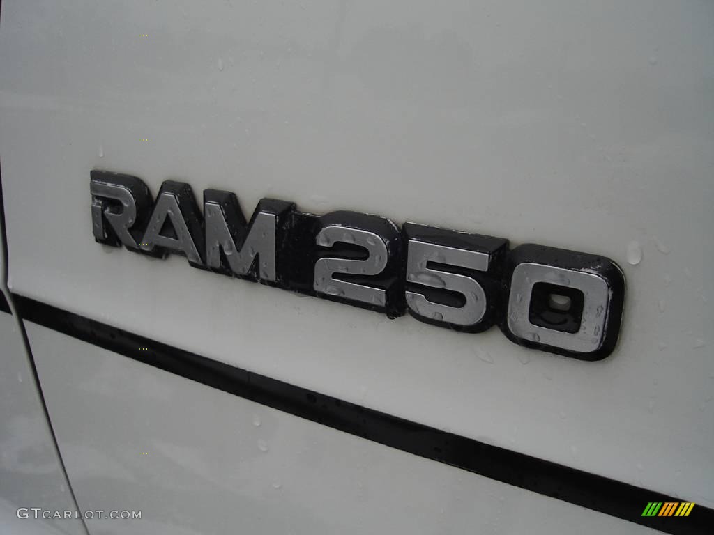 1994 Ram Van B250 Cargo - Bright White / Gray photo #12