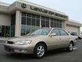 Cashmere Beige Metallic - ES 300 Photo No. 1