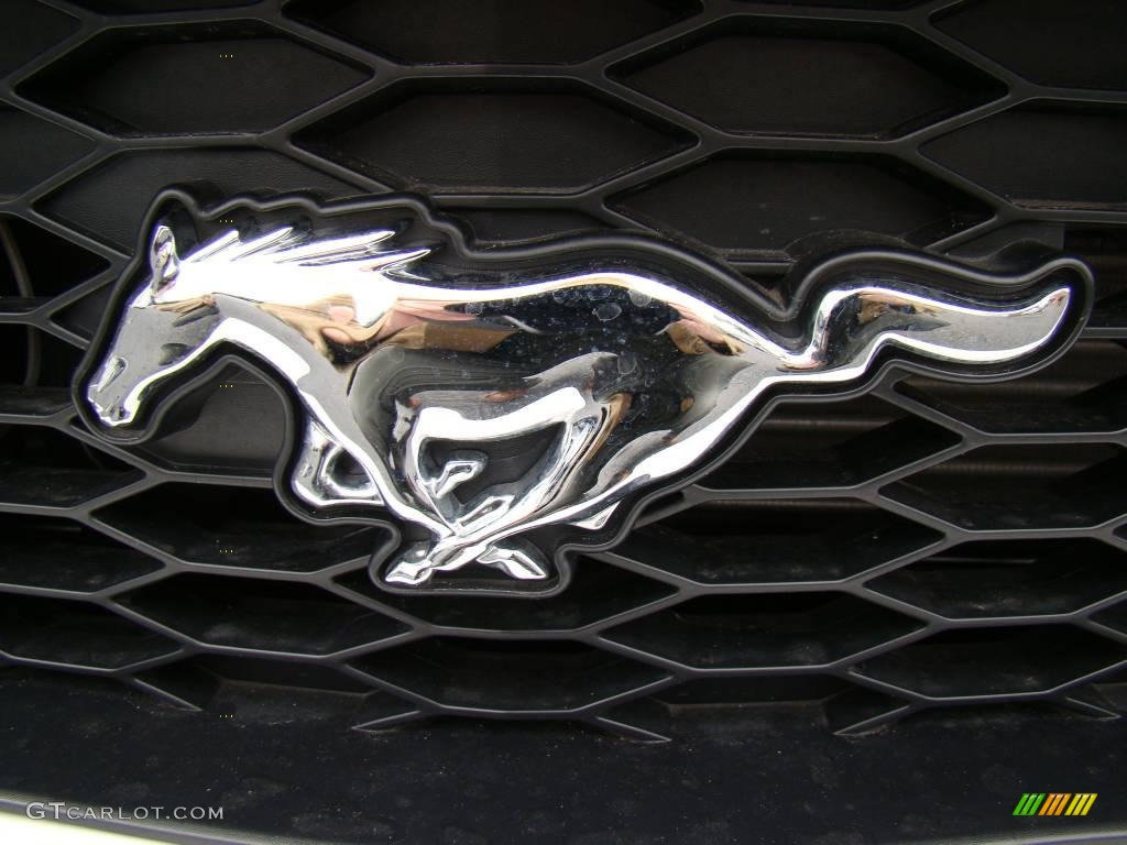 2008 Mustang Saleen Dan Gurney Edition - Performance White / Dark Charcoal photo #31