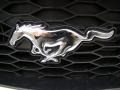 Performance White - Mustang Saleen Dan Gurney Edition Photo No. 31