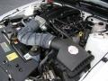Performance White - Mustang Saleen Dan Gurney Edition Photo No. 39