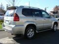 2004 Silver Pine Metallic Lexus GX 470  photo #4