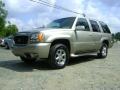 Silver Sand - Escalade 4WD Photo No. 13