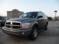Mineral Gray Metallic - Durango SLT Photo No. 3