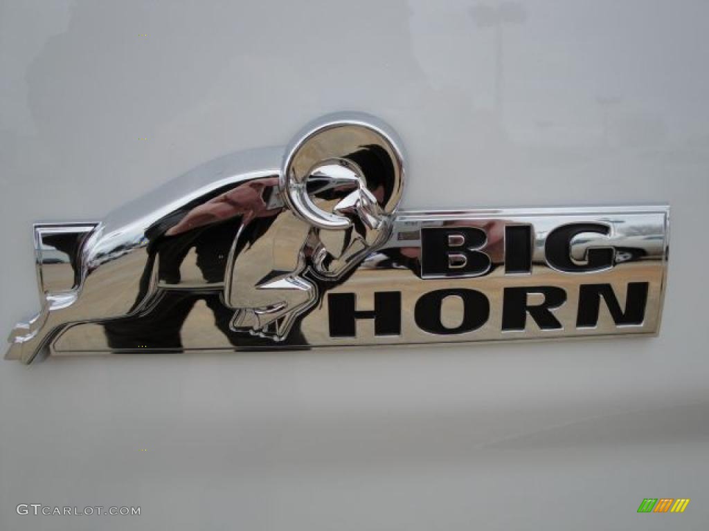 2010 Ram 1500 Big Horn Quad Cab - Stone White / Dark Slate/Medium Graystone photo #9