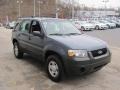 2006 Norsea Blue Metallic Ford Escape XLS 4WD  photo #5