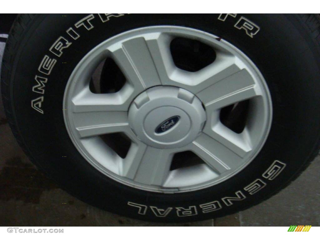 2005 F150 STX SuperCab - Silver Metallic / Medium Flint Grey photo #20
