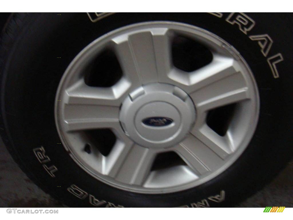 2005 F150 STX SuperCab - Silver Metallic / Medium Flint Grey photo #21