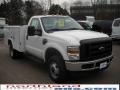 2010 Oxford White Ford F350 Super Duty XL Regular Cab Chassis  photo #4