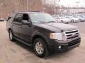 2009 Black Ford Expedition XLT 4x4  photo #5