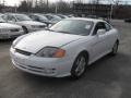 Alpine White - Tiburon  Photo No. 2