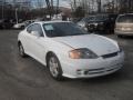 Alpine White - Tiburon  Photo No. 3