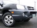 Black Obsidian - Santa Fe GLS 4WD Photo No. 2