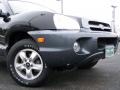 2005 Black Obsidian Hyundai Santa Fe GLS 4WD  photo #2