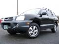 2005 Black Obsidian Hyundai Santa Fe GLS 4WD  photo #5