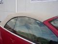 Salsa Red - New Beetle SE Convertible Photo No. 20