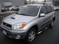 Titanium Metallic - RAV4  Photo No. 1