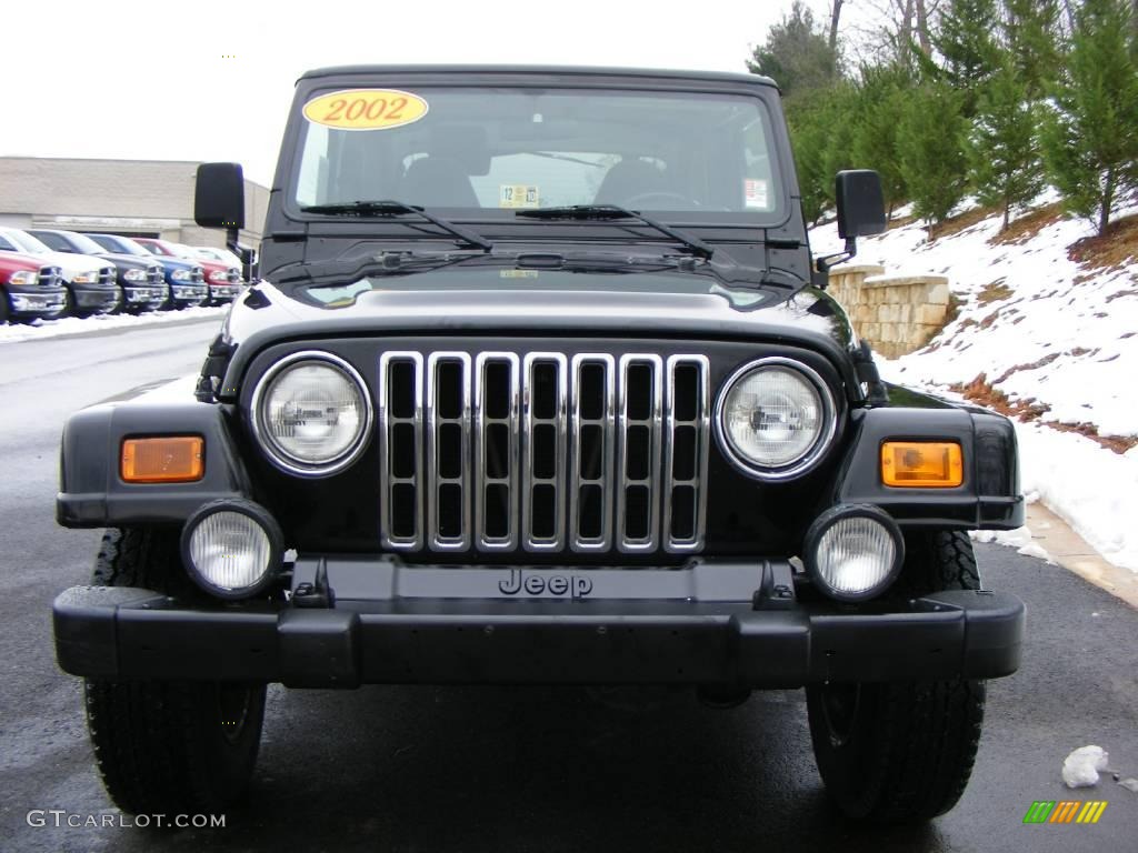 2002 Wrangler Sahara 4x4 - Black / Camel Beige/Dark Green photo #2