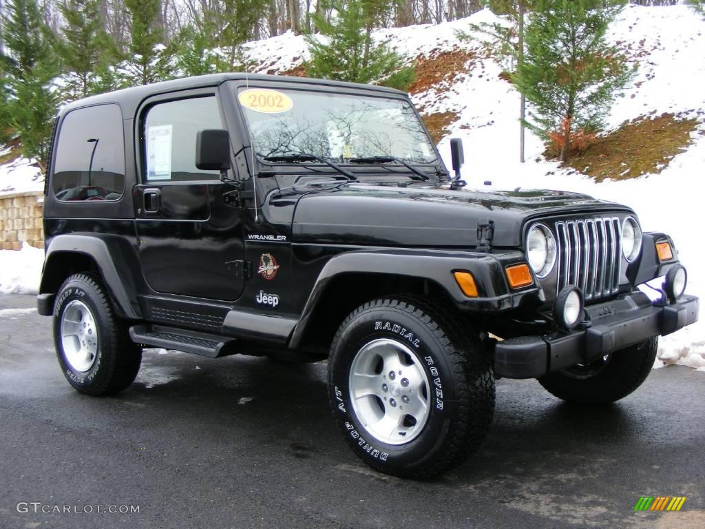 2002 Wrangler Sahara 4x4 - Black / Camel Beige/Dark Green photo #3