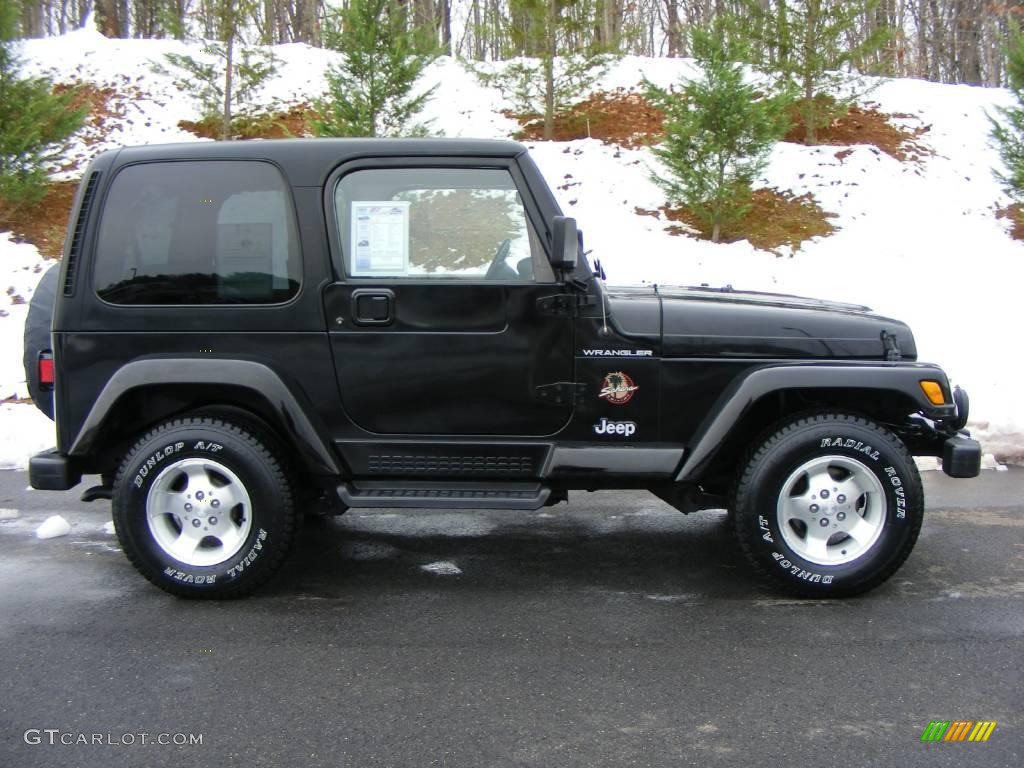 2002 Wrangler Sahara 4x4 - Black / Camel Beige/Dark Green photo #4