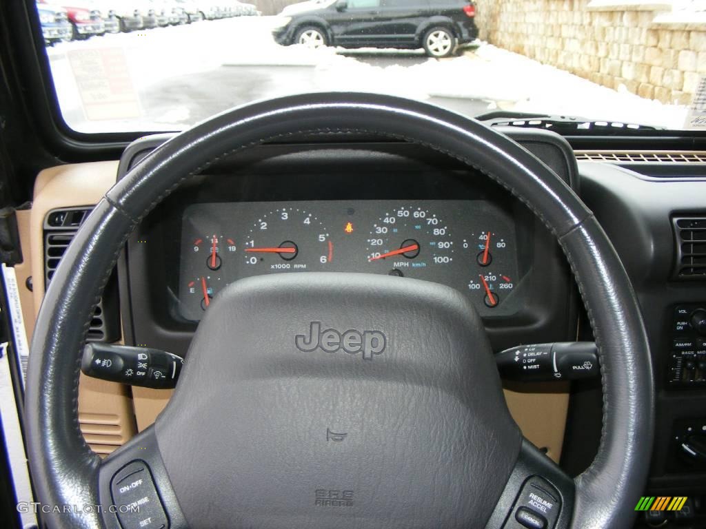 2002 Wrangler Sahara 4x4 - Black / Camel Beige/Dark Green photo #10