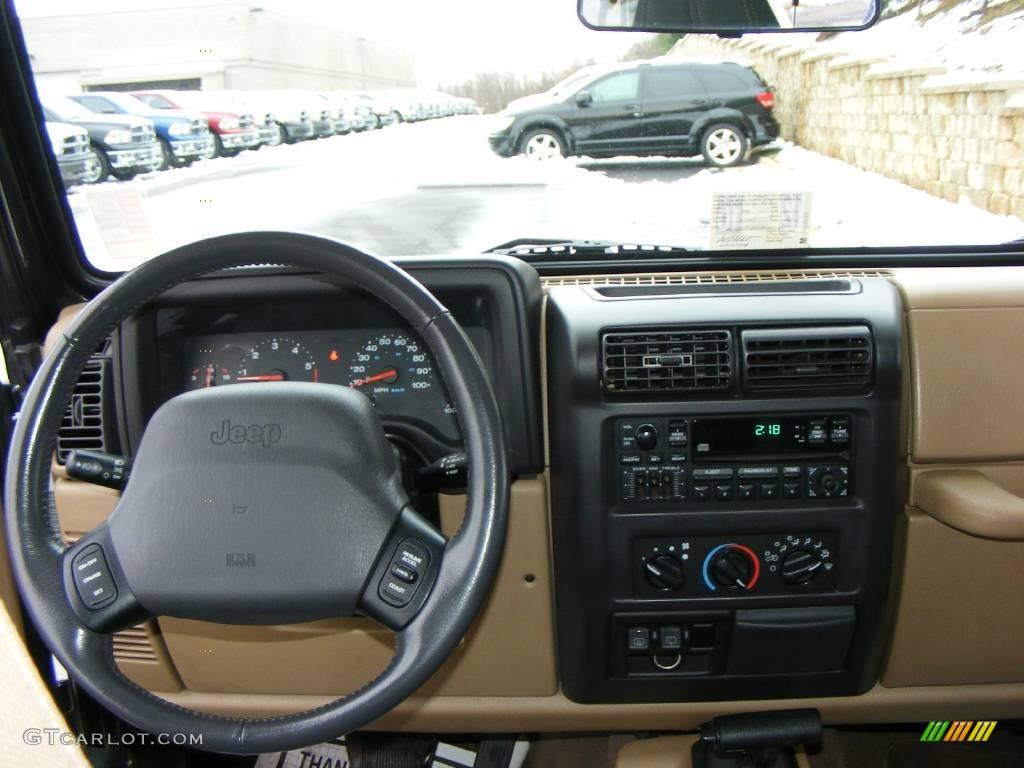 2002 Wrangler Sahara 4x4 - Black / Camel Beige/Dark Green photo #11