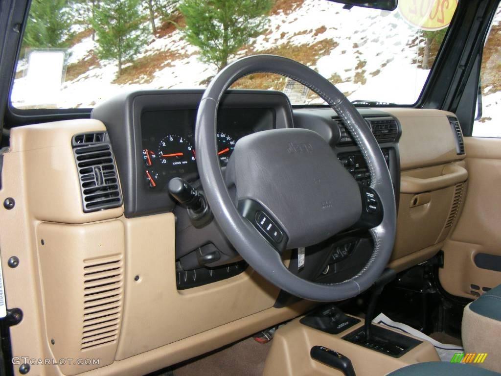 2002 Wrangler Sahara 4x4 - Black / Camel Beige/Dark Green photo #12