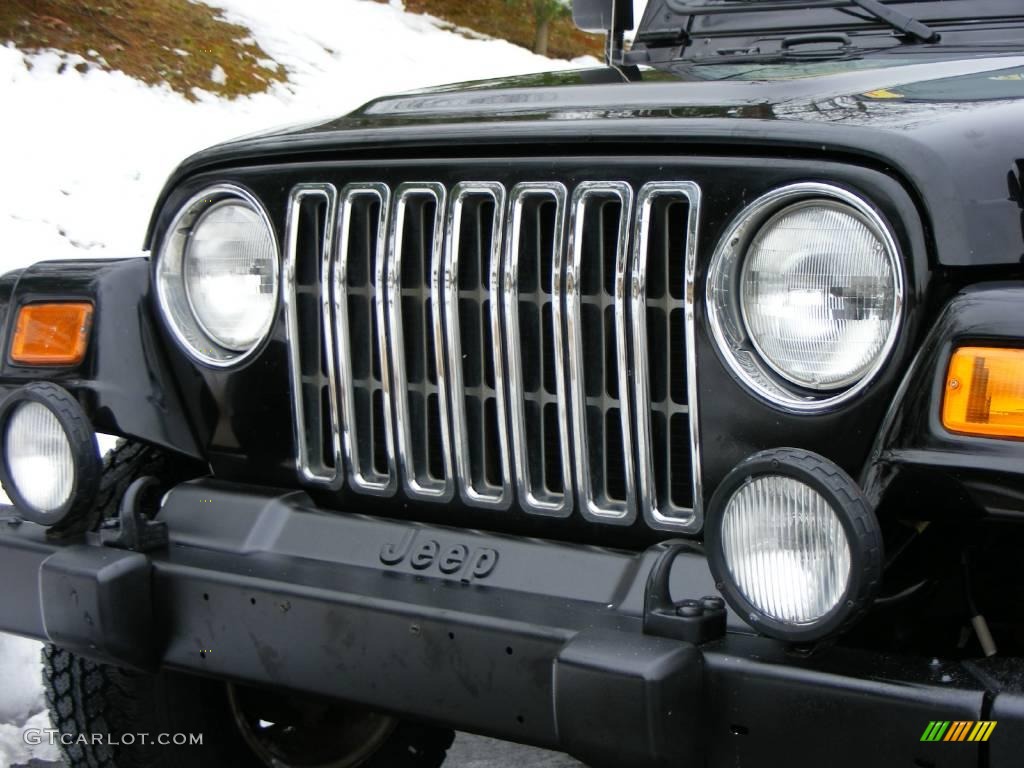 2002 Wrangler Sahara 4x4 - Black / Camel Beige/Dark Green photo #26