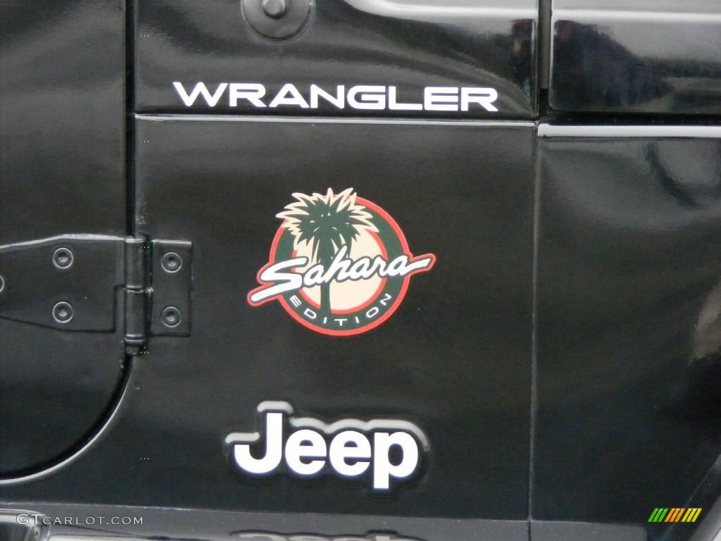 2002 Wrangler Sahara 4x4 - Black / Camel Beige/Dark Green photo #27