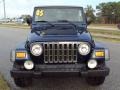 Patriot Blue Pearl - Wrangler Rubicon 4x4 Photo No. 12
