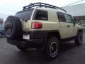 2010 Sandstorm Toyota FJ Cruiser Trail Teams Special Edition 4WD  photo #5