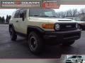 2010 Sandstorm Toyota FJ Cruiser Trail Teams Special Edition 4WD  photo #59