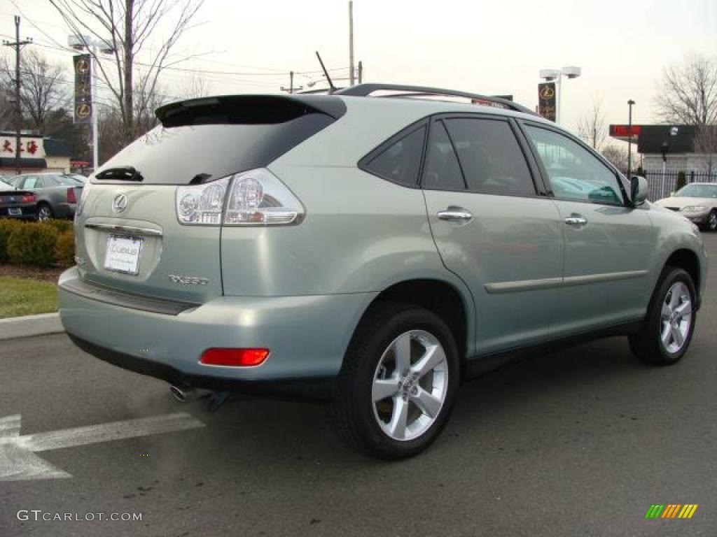 2008 RX 350 AWD - Bamboo Pearl / Light Gray photo #4