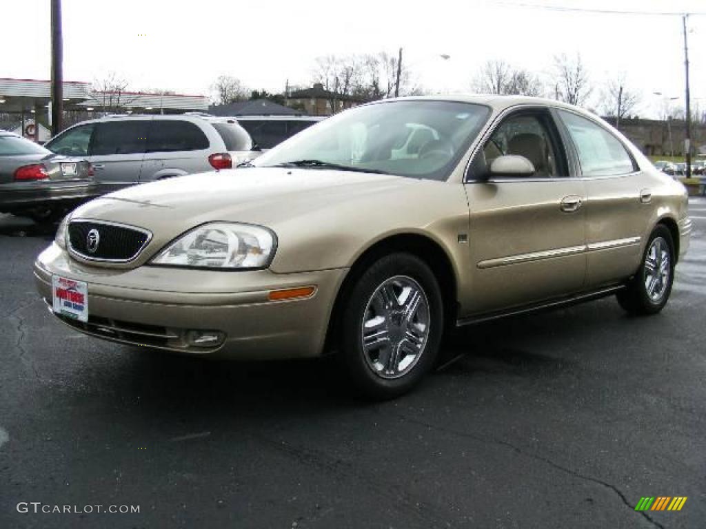 Harvest Gold Metallic Mercury Sable