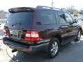 2006 Black Garnet Pearl Toyota Land Cruiser   photo #4