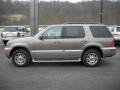 Mineral Grey Metallic - Mountaineer Convenience AWD Photo No. 5