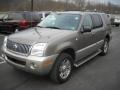 Mineral Grey Metallic - Mountaineer Convenience AWD Photo No. 14