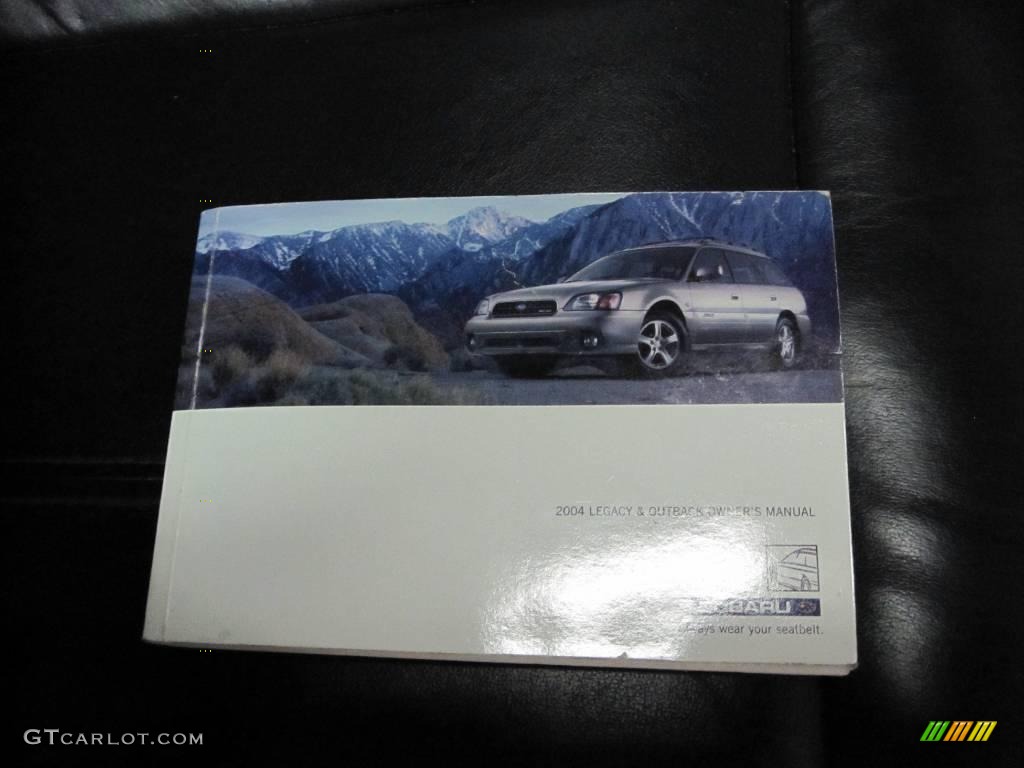 2004 Outback Limited Sedan - Silver Stone Metallic / Gray photo #9