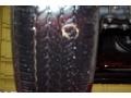 Radiant Silver - Frontier XE King Cab Photo No. 10