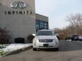 Light Platinum - SRX V6 Photo No. 2