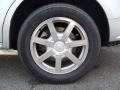 Light Platinum - SRX V6 Photo No. 4